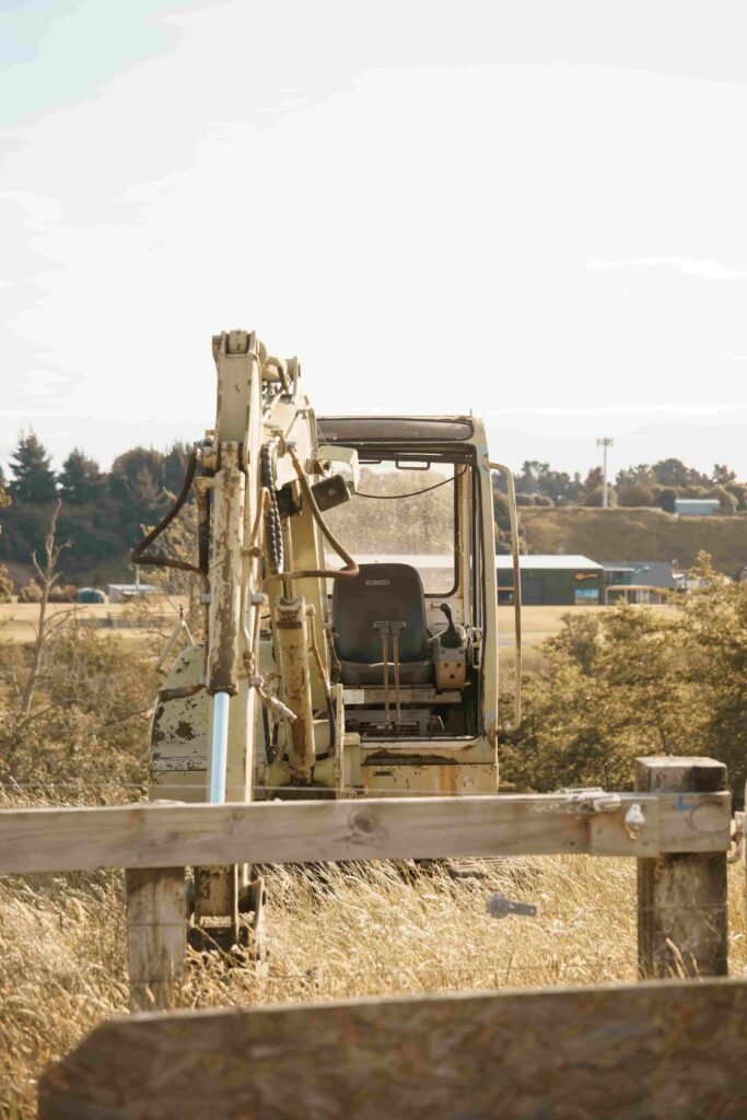 pexels imperioame 20034775 (1)